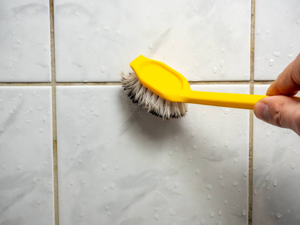 Home Mold Removal in Commerce, OK
