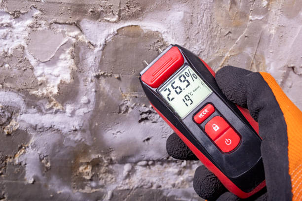 Best Crawl Space Mold Removal  in Commerce, OK