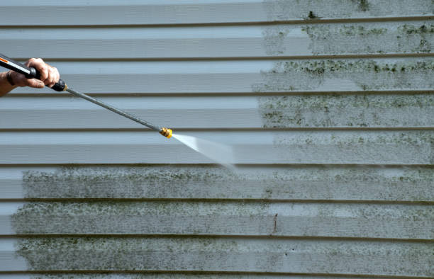 Best Toxic Mold Removal  in Commerce, OK
