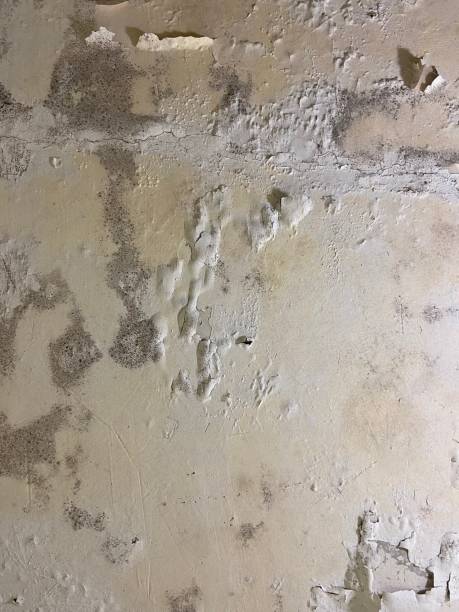 Water Damage Restoration in Commerce, OK