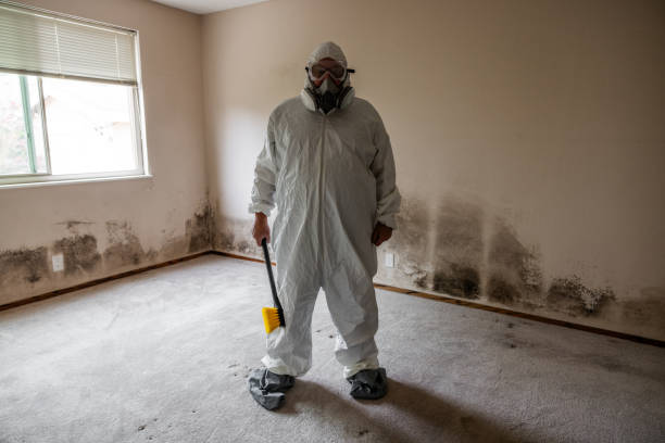 Best Mold Removal Company Near Me  in Commerce, OK