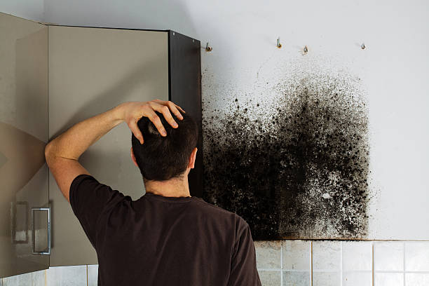 Best Office Mold Removal Services  in Commerce, OK